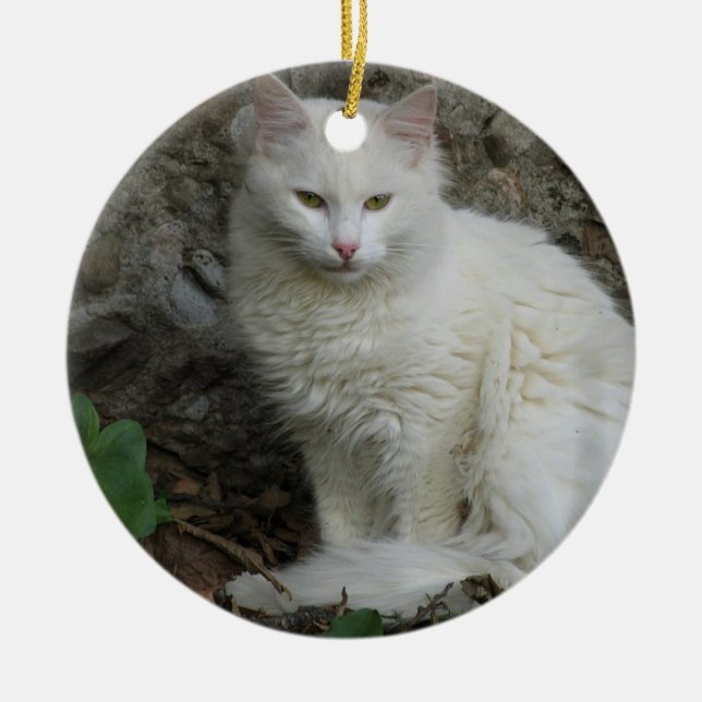 Ornamento de gato blanco (Frente)