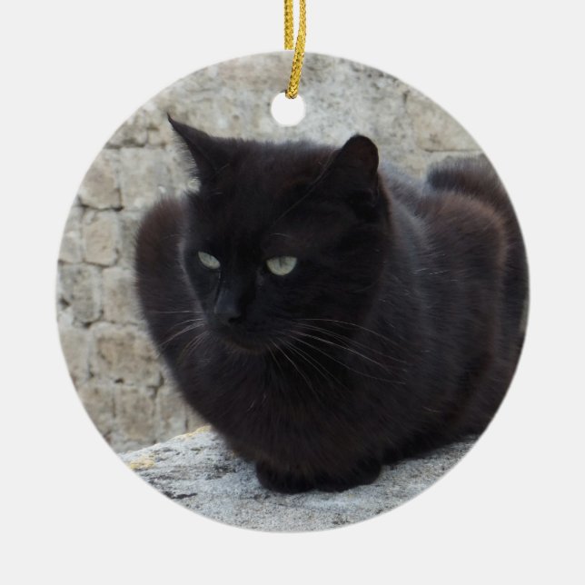 Ornamento de gato de doble cara (Frente)