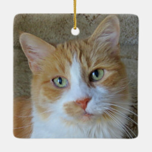 Ornamento de gato de jengibre blanco y naranja