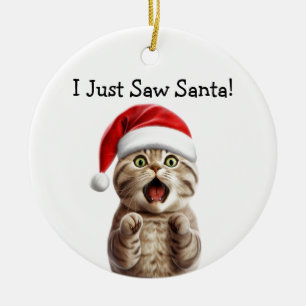 Ornamento de gato festivo