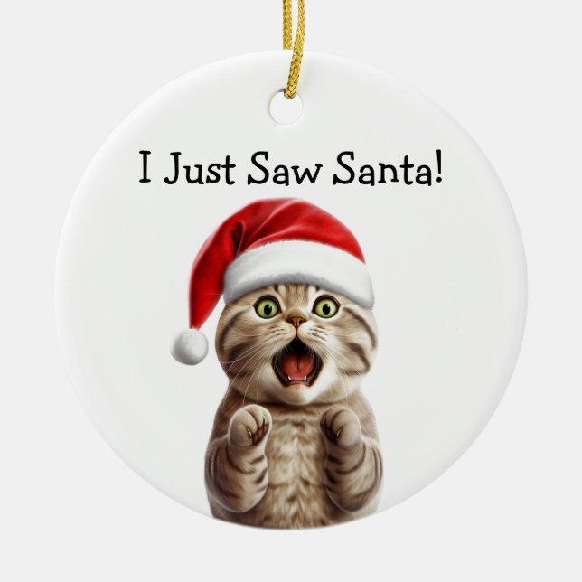 Ornamento de gato festivo (Frente)