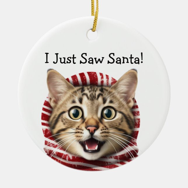 Ornamento de gato para Navidades gatitos (Frente)