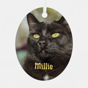 Ornamento de gato personalizado