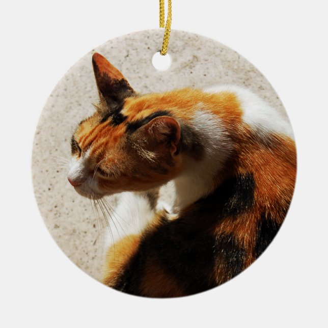 Ornamento de gato tricolor (Frente)