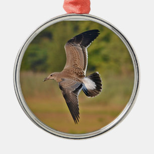 Ornamento de gaviota