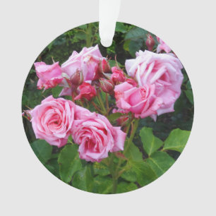 Ornamento de Gene Boerner Rosa #3