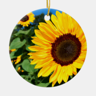 Ornamento de girasol