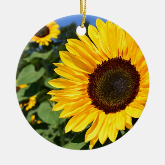 Ornamento de girasol (Frente)