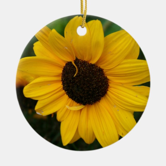 Ornamento de girasol (Frente)