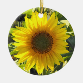 Ornamento de girasol fresco