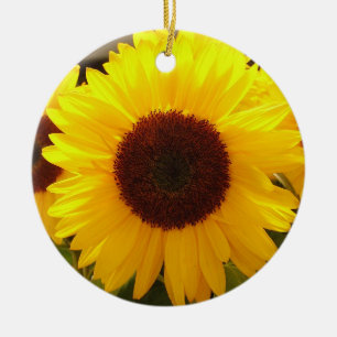 Ornamento de girasoles