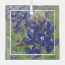 Ornamento de Glass Bluebonnet de Texas