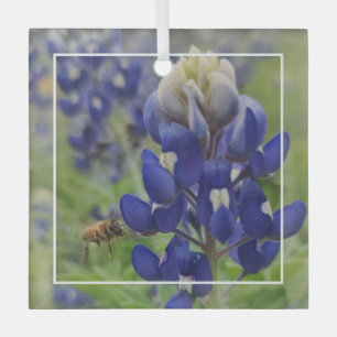 Ornamento de Glass Bluebonnet de Texas