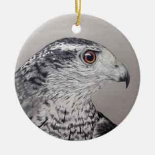Ornamento de Goshawk
