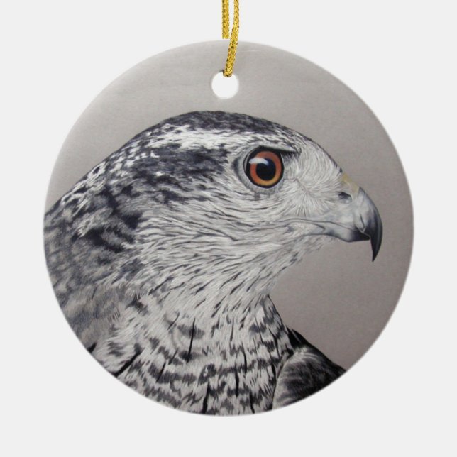 Ornamento de Goshawk (Frente)
