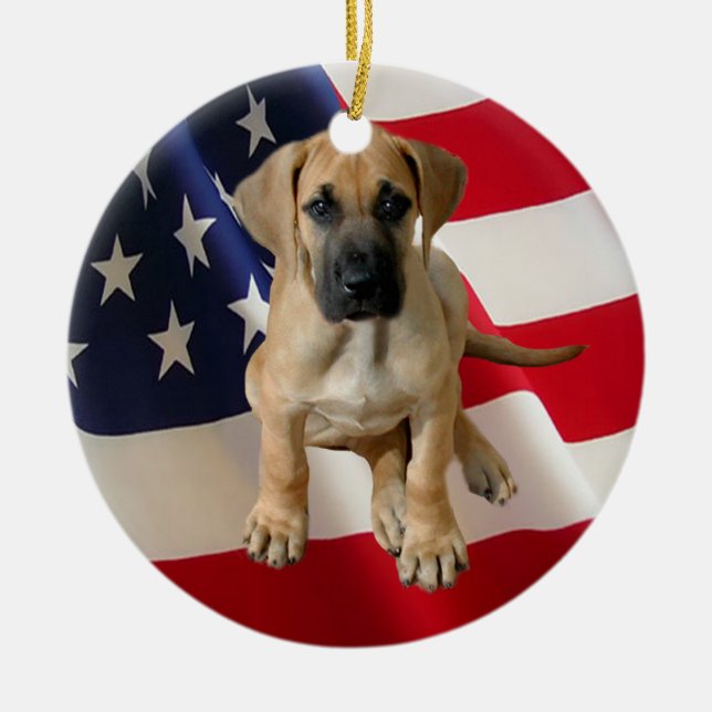 Ornamento de great dane (Frente)