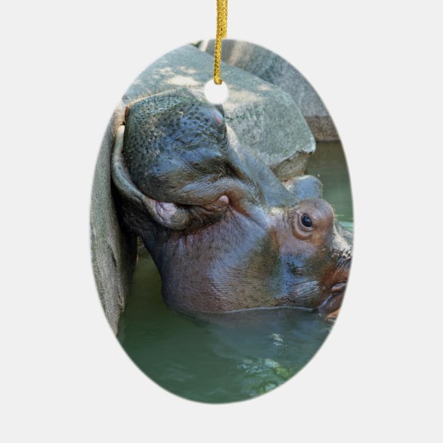 Ornamento de Hippo (Frente)