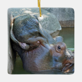Ornamento de Hippo