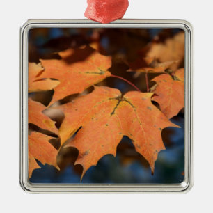 Ornamento de hojas de otoño