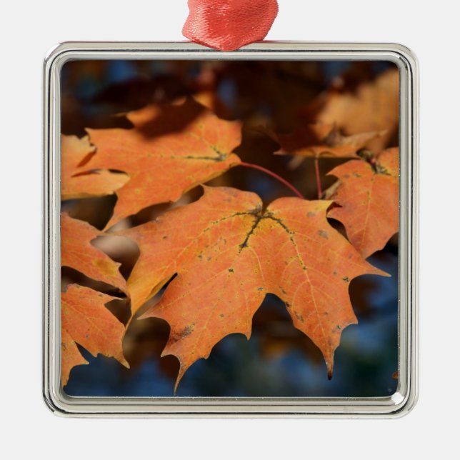 Ornamento de hojas de otoño (Frente)