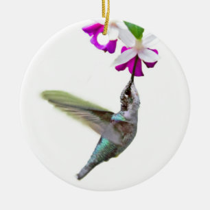 Ornamento de Hummingbird