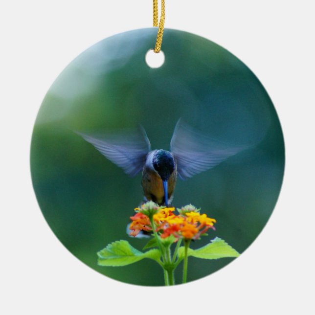 Ornamento de Hummingbird Angel Wings (Frente)
