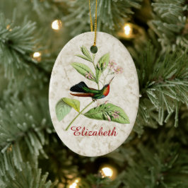 Ornamento de Hummingbird fuerte