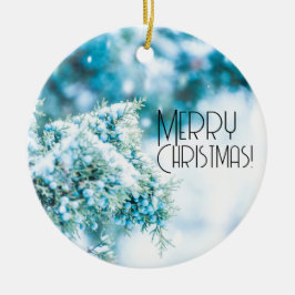 Ornamento de invierno de bayas cubiertas de nieve