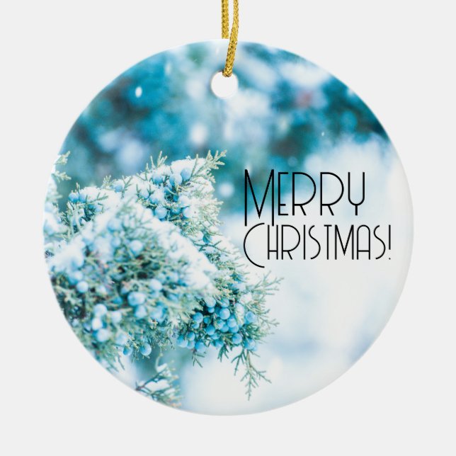 Ornamento de invierno de bayas cubiertas de nieve (Frente)