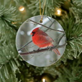Ornamento de invierno del Cardenal Rojo