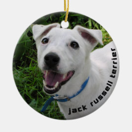 ORNAMENTO DE JACK RUSSELL TERRIER