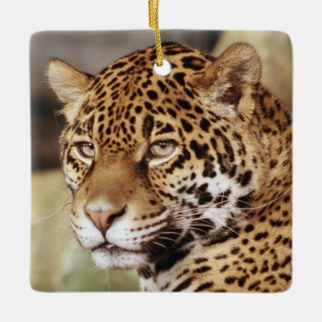 Ornamento de Jaguar (Anverso)