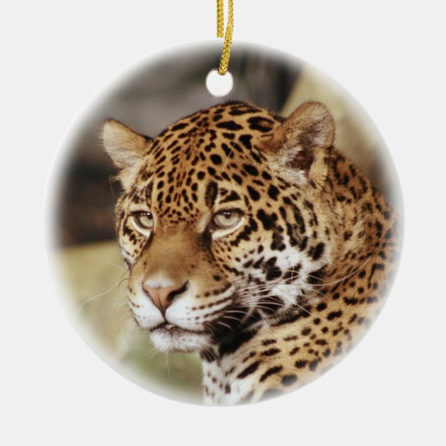 Ornamento de Jaguar (Frente)