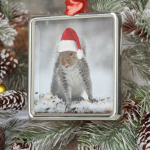 Ornamento de Jolly Squirrel con Santa Hat Square