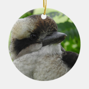 Ornamento de Kookaburra