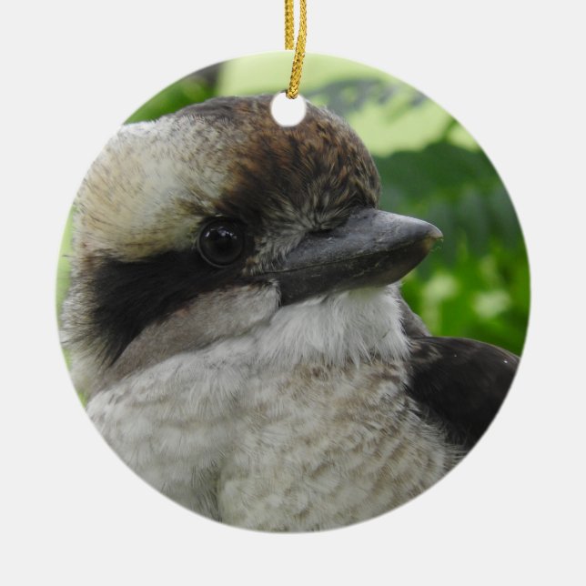 Ornamento de Kookaburra (Frente)
