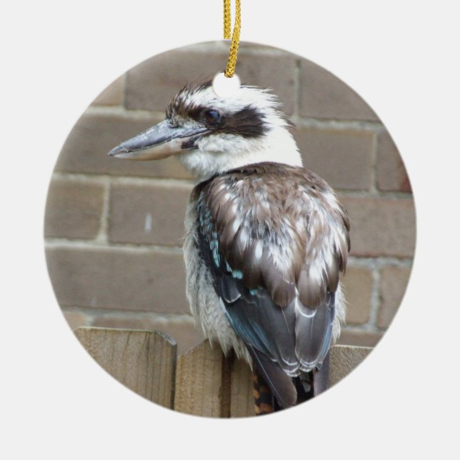 Ornamento de Kookaburra (Frente)
