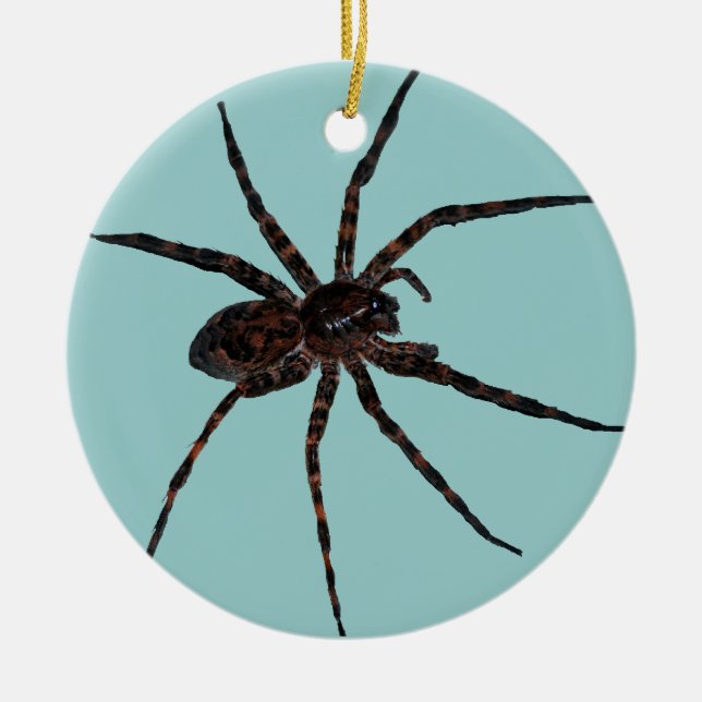 Ornamento de la araña de lobo (Frente)
