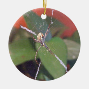 Ornamento de la araña del orbe