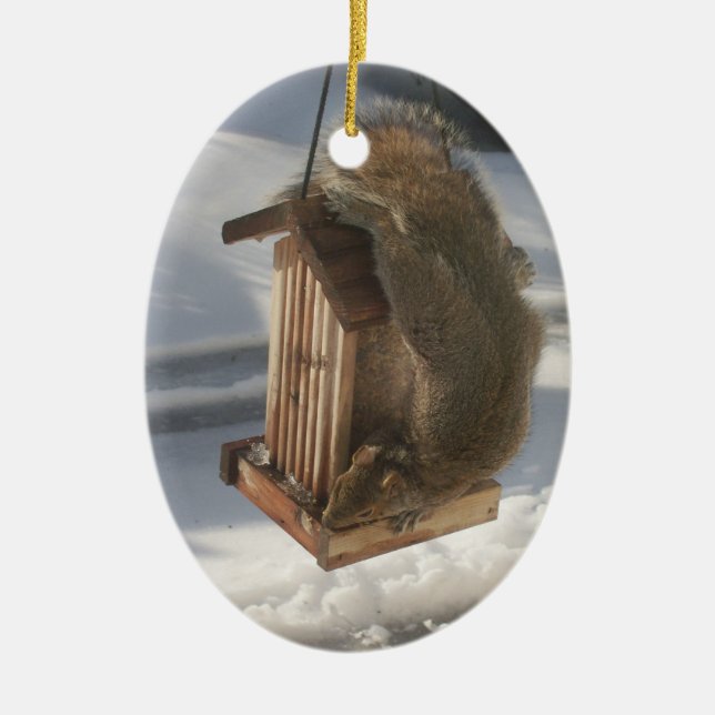 Ornamento de la ardilla hacia abajo (Frente)