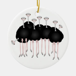 Ornamento de la avestruz