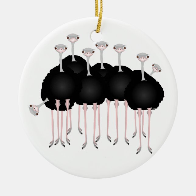 Ornamento de la avestruz (Frente)