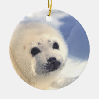 Ornamento de la cara de cría de foca