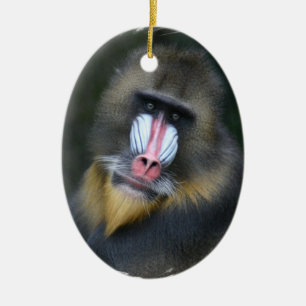 Ornamento de la cara del babuino