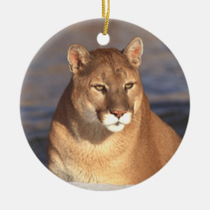 Ornamento de la cara del puma