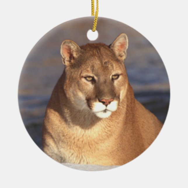 Ornamento de la cara del puma (Frente)