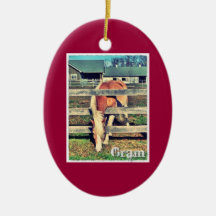 Ornamento de la edición de lujo del gramo