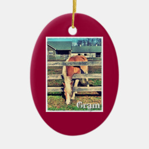 Ornamento de la edición de lujo del gramo