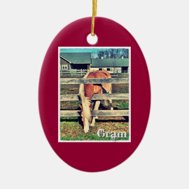 Ornamento de la edición de lujo del gramo (Frente)