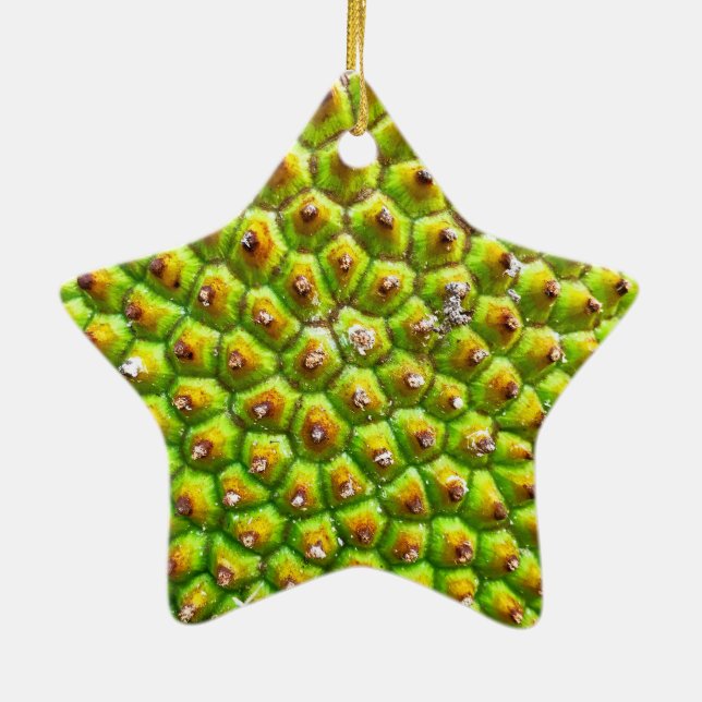 Ornamento de la estrella de Jackfruit Dble (Atrás)